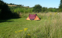 Camping écologique en Bourgogne, LOTUSSY